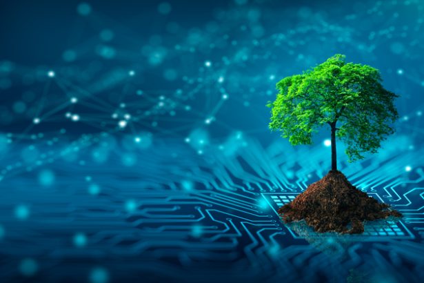 computación-ecológica-la-tecnología-se-vuelve-verde