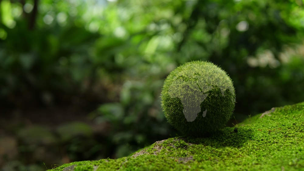 la-tecnología-ancestral-vuelve-a-ganar-terreno